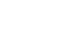 Dealer Branches