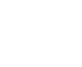 Insurance Partners
